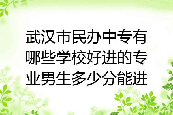武汉市民办中专有哪些学校好进的专业男生多少分能进