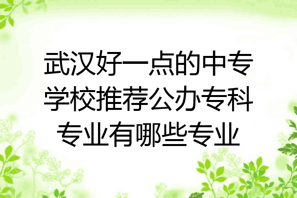 武汉好一点的中专学校推荐公办专科专业有哪些专业
