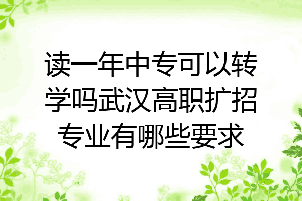 读一年中专可以转学吗武汉高职扩招专业有哪些要求