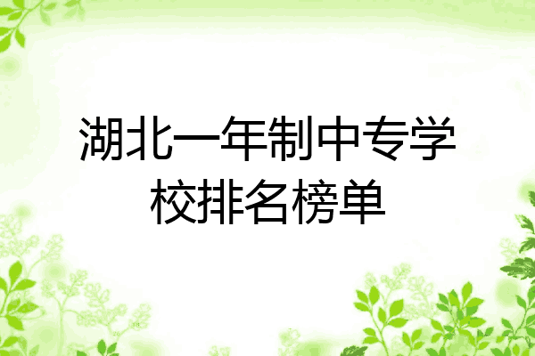 湖北一年制中专学校排名榜单