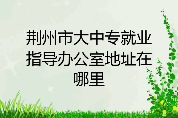 荆州市大中专就业指导办公室地址在哪里