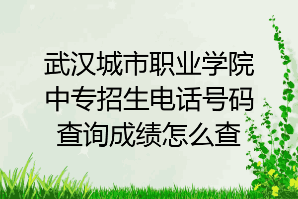 武汉城市职业学院中专招生电话号码查询成绩怎么查