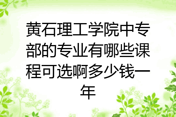黄石理工学院中专部的专业有哪些课程可选啊多少钱一年