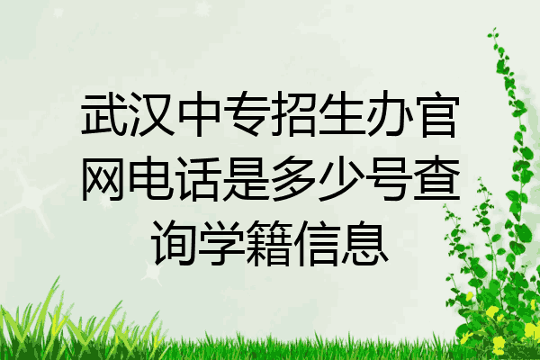 武汉中专招生办官网电话是多少号查询学籍信息