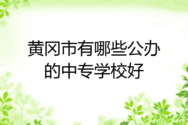 黄冈市有哪些公办的中专学校好