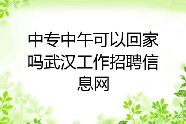 中专中午可以回家吗武汉工作招聘信息网