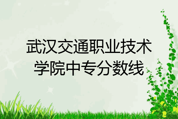 武汉交通职业技术学院中专分数线