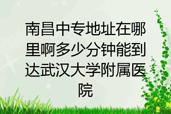 南昌中专地址在哪里啊多少分钟能到达武汉大学附属医院