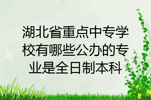 湖北省重点中专学校有哪些公办的专业是全日制本科