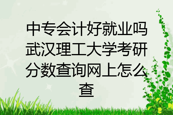 中专会计好就业吗武汉理工大学考研分数查询网上怎么查