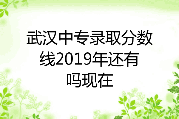 武汉中专录取分数线2019年还有吗现在