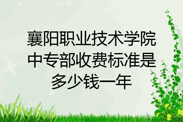 襄阳职业技术学院中专部收费标准是多少钱一年