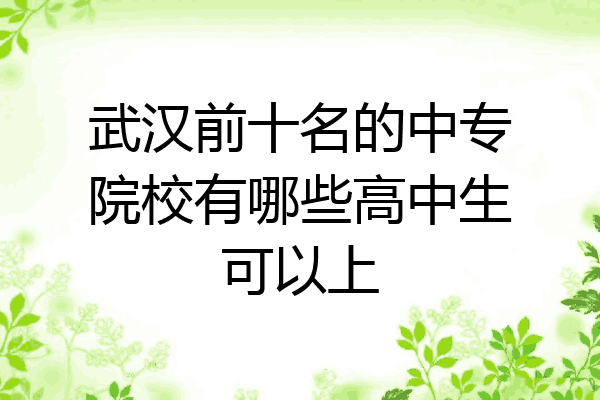 武汉前十名的中专院校有哪些高中生可以上