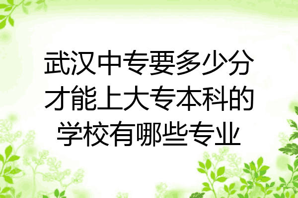 武汉中专要多少分才能上大专本科的学校有哪些专业