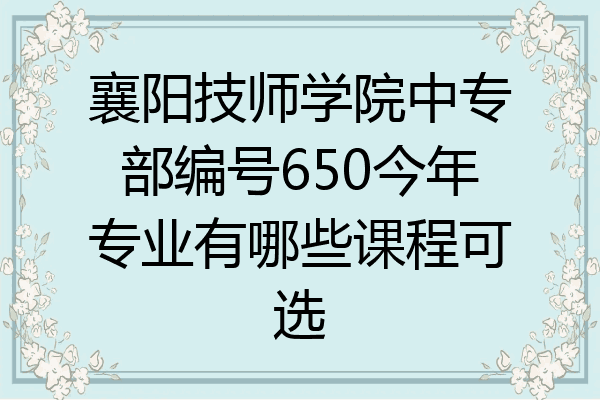 襄阳技师学院中专部编号650今年专业有哪些课程可选