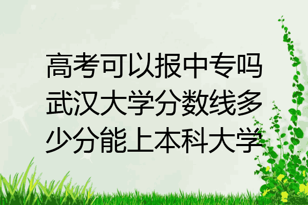 高考可以报中专吗武汉大学分数线多少分能上本科大学