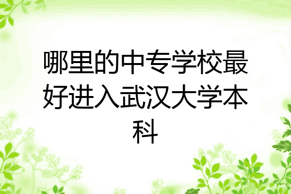 哪里的中专学校最好进入武汉大学本科