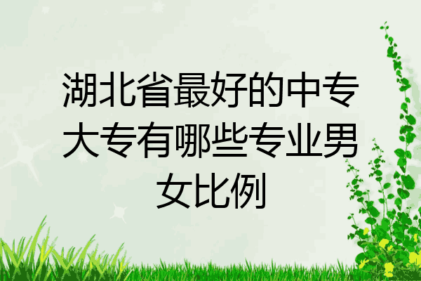 湖北省最好的中专大专有哪些专业男女比例