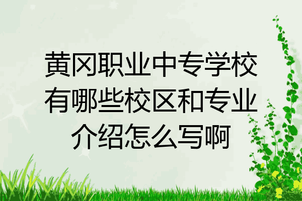黄冈职业中专学校有哪些校区和专业介绍怎么写啊