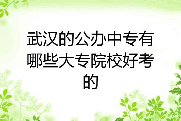 武汉的公办中专有哪些大专院校好考的