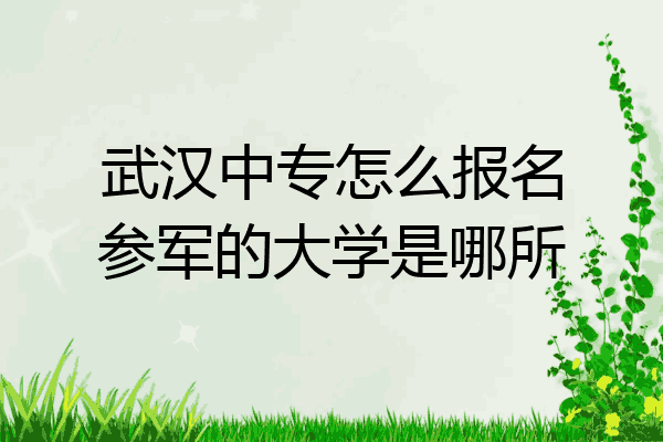 武汉中专怎么报名参军的大学是哪所