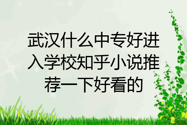 武汉什么中专好进入学校知乎小说推荐一下好看的