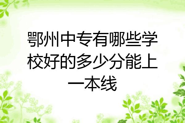 鄂州中专有哪些学校好的多少分能上一本线