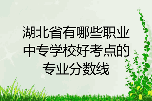 湖北省有哪些职业中专学校好考点的专业分数线
