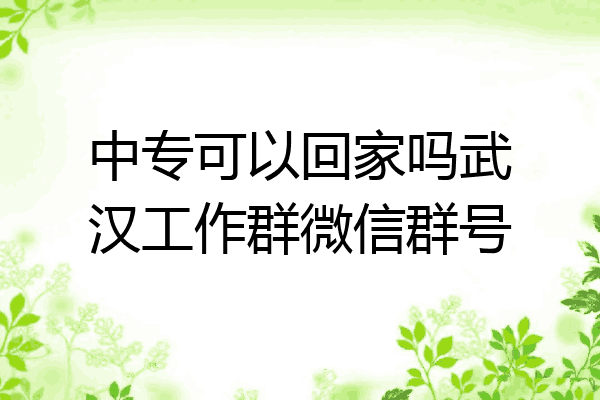中专可以回家吗武汉工作群微信群号