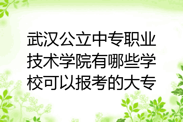 武汉公立中专职业技术学院有哪些学校可以报考的大专