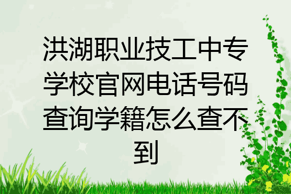 洪湖职业技工中专学校官网电话号码查询学籍怎么查不到