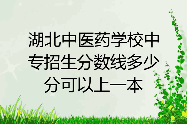 湖北中医药学校中专招生分数线多少分可以上一本