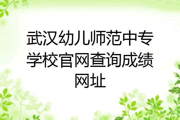 武汉幼儿师范中专学校官网查询成绩网址