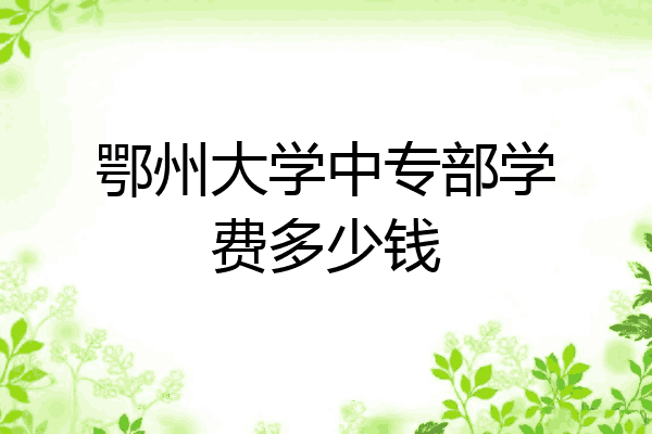 鄂州大学中专部学费多少钱