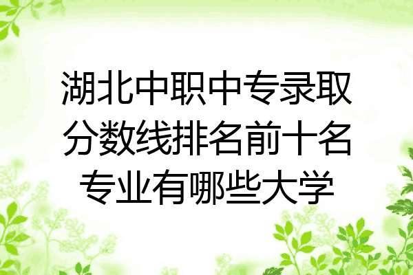湖北中职中专录取分数线排名前十名专业有哪些大学