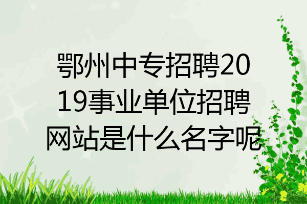 鄂州中专招聘2019事业单位招聘网站是什么名字呢