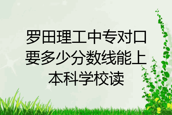 罗田理工中专对口要多少分数线能上本科学校读