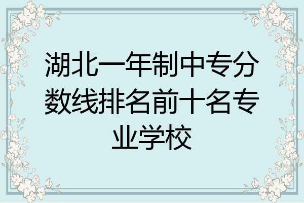 湖北一年制中专分数线排名前十名专业学校