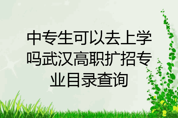 中专生可以去上学吗武汉高职扩招专业目录查询