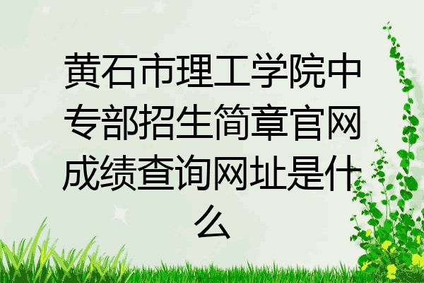 黄石市理工学院中专部招生简章官网成绩查询网址是什么