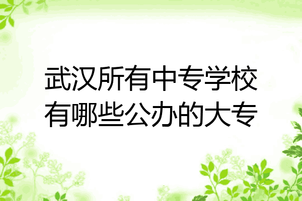 武汉所有中专学校有哪些公办的大专