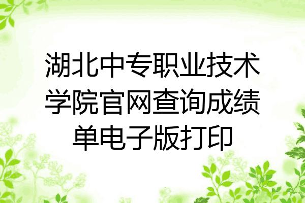 湖北中专职业技术学院官网查询成绩单电子版打印