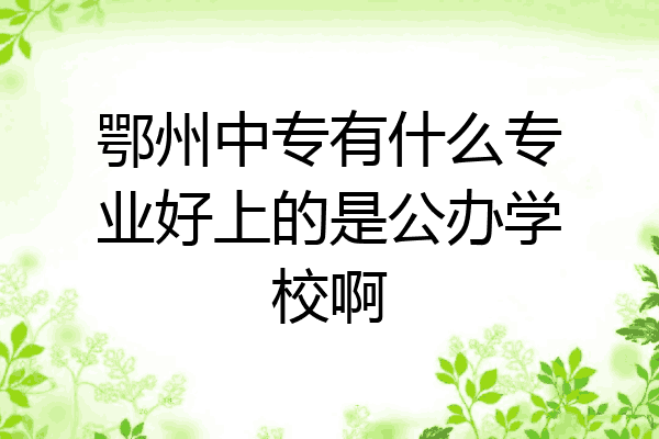 鄂州中专有什么专业好上的是公办学校啊