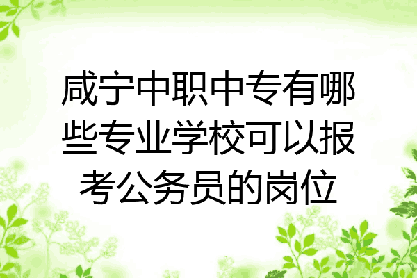 咸宁中职中专有哪些专业学校可以报考公务员的岗位