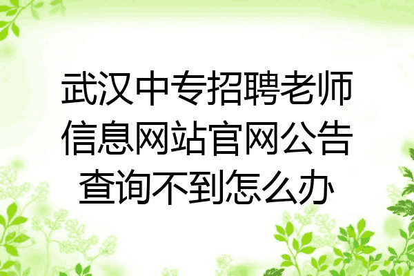 武汉中专招聘老师信息网站官网公告查询不到怎么办