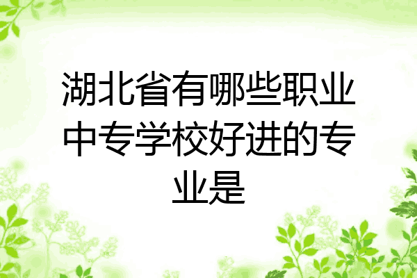 湖北省有哪些职业中专学校好进的专业是
