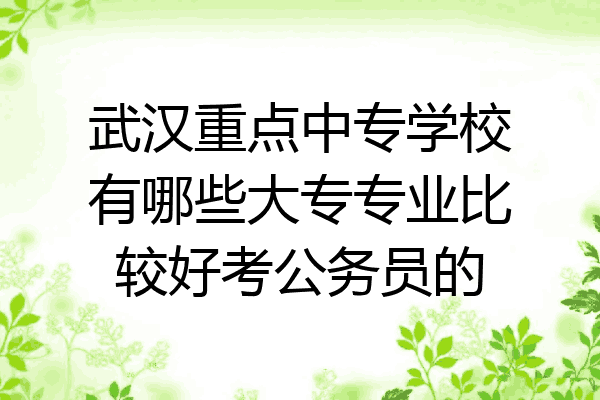 武汉重点中专学校有哪些大专专业比较好考公务员的
