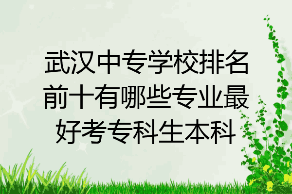 武汉中专学校排名前十有哪些专业最好考专科生本科