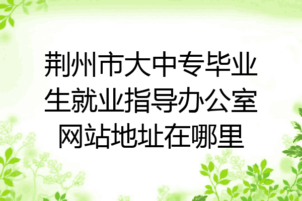 荆州市大中专毕业生就业指导办公室网站地址在哪里