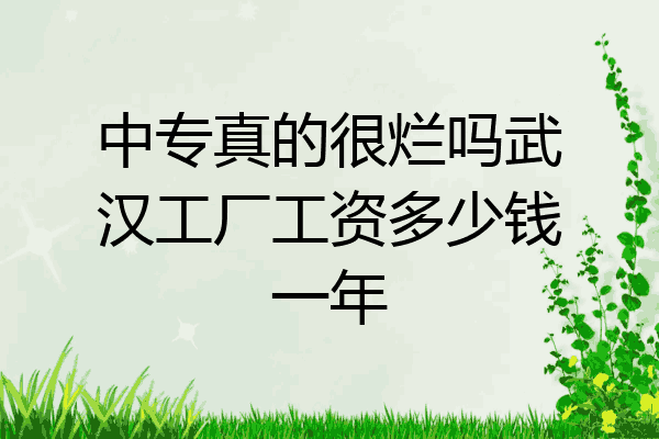 中专真的很烂吗武汉工厂工资多少钱一年